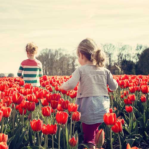 Niños corriendo entre tulipanes