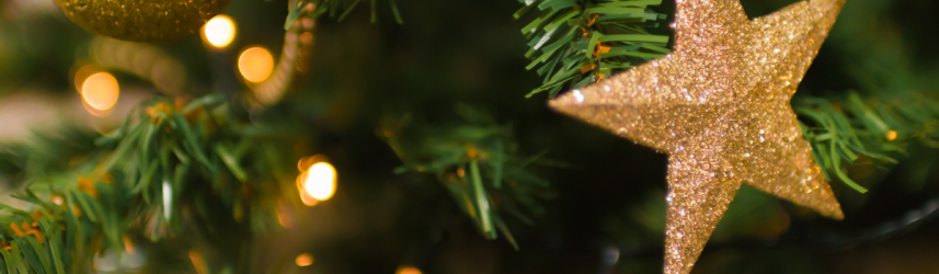 arbol-estrella-navidad-banner