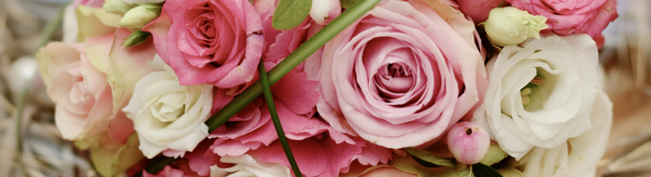 banner-rosas-rosa