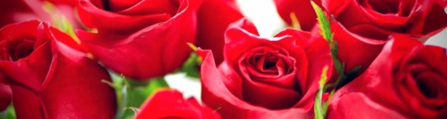 banner_rosas_rojas_perdon_900x240