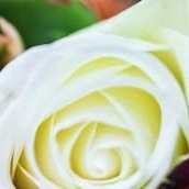 banner_rosas-914x178