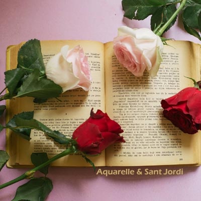  Sant Jordi: Libros, rosas