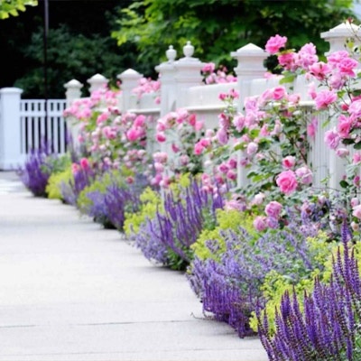 lavanda_decor_jardin_400x400