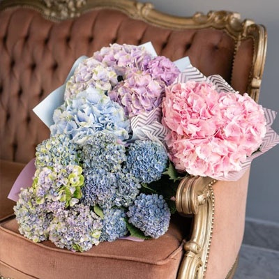 hortensias_decorando_400x400