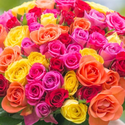 rosas_colores_550x550