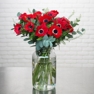 san-valentin-anemonas-430x430